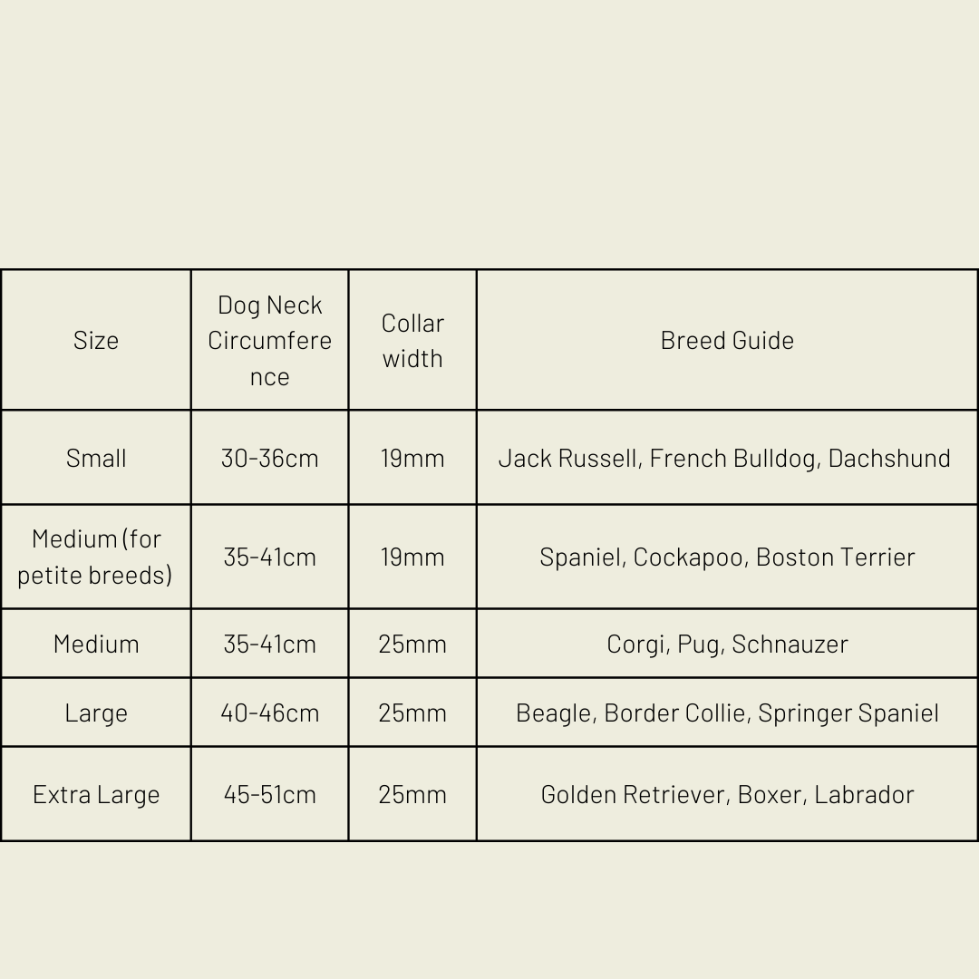 Silver apple leather dog collar