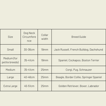 Silver apple leather dog collar