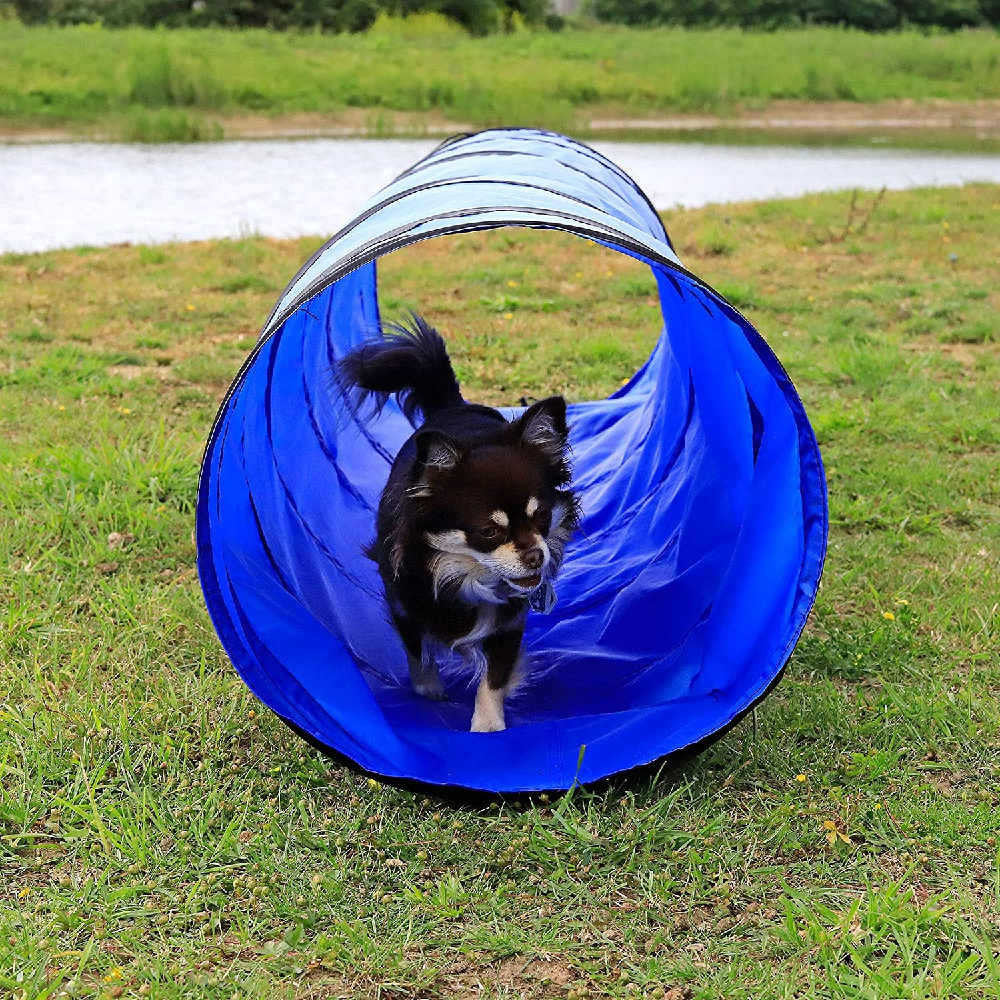 Dog Training Jumping Ring Jumping Pole Wrap Agility Training Kit